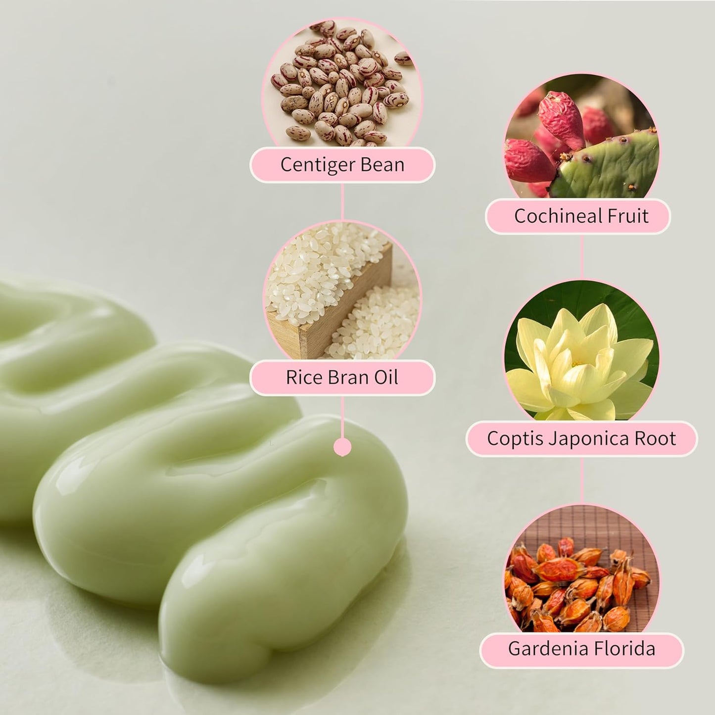 Beauty of Joseon Jelloskin Massage Cream for face & body - 200ml