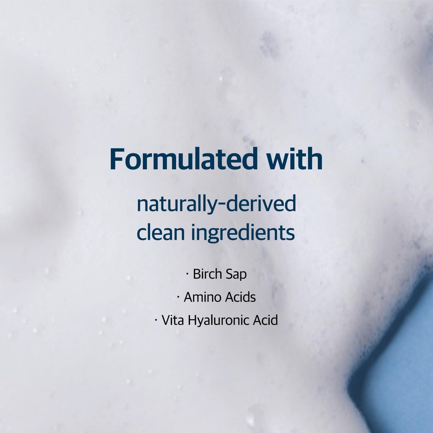 Round Lab Birch Juice Moisturizing Cleansèr - 150ml