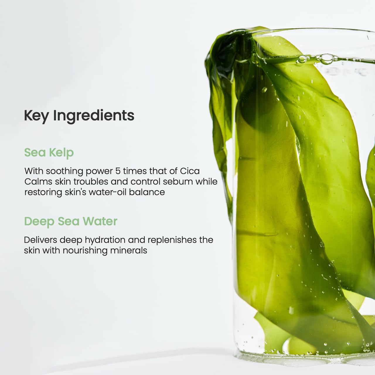 Biodance Refreshing Sea Kelp Real Deep Mask - (1 mask)