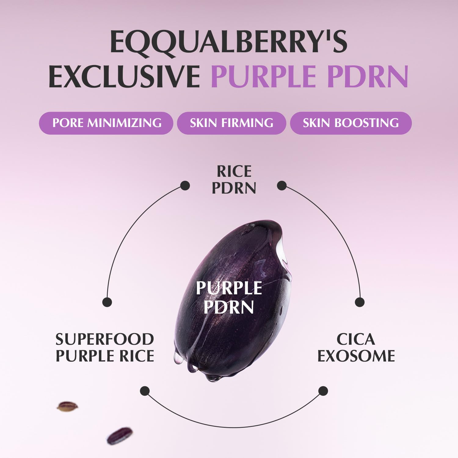 EQQUALBERRY Purple PDRN Pore Minimizing Serum - 30ml