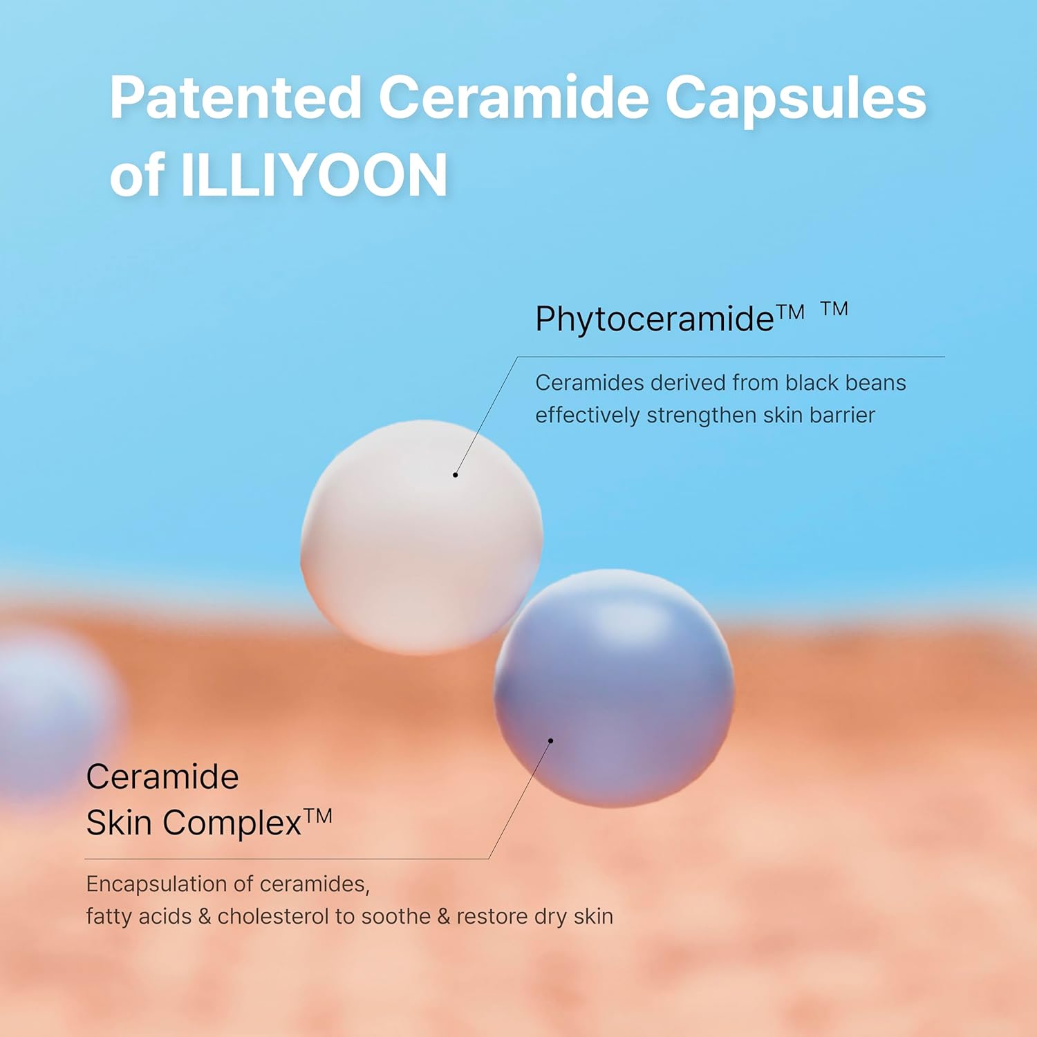 ILLIYOON Ceramide Ato Concentreate Cream - 230ml