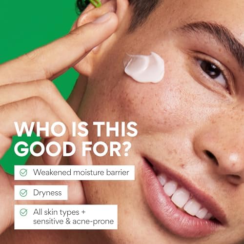 INNISFREE Green Tea Seed Hyaluronic Cream - 50ml